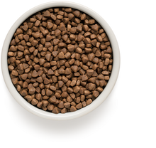 Įkelti vaizdą į galerijos rodinį, Grandorf Triušiena ir Kalakutiena - sausas maistas SUAUGUSIOMS STERILIZUOTOMS KATĖMS 2kg