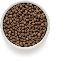 Įkelti vaizdą į galerijos rodinį, Grandorf 4-ios Mėsos - sausas maistas SUAUGUSIEMS MINI VEISLIŲ ŠUNIMS 3kg