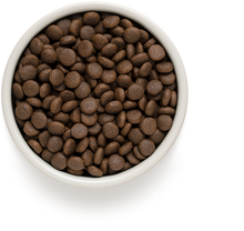 Įkelti vaizdą į galerijos rodinį, Grandorf Triušiena ir Kalakutiena - sausas maistas SUAUGUSIEMS VIDUTINIŲ IR DIDELIŲ VEISLIŲ ŠUNIMS 10kg