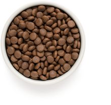 Įkelti vaizdą į galerijos rodinį, Grandorf Ėriena ir Kalakutiena - sausas maistas JAUNIEMS VISŲ VEISLIŲ ŠUNIMS 1kg