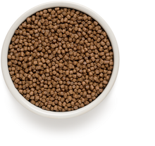 Įkelti vaizdą į galerijos rodinį, Grandorf Ėriena ir Kalakutiena - sausas maistas KAČIUKAMS 2kg