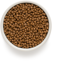 Įkelti vaizdą į galerijos rodinį, Grandorf Ėriena ir Kalakutiena - sausas maistas VISŲ VEISLIŲ ŠUNIUKAMS 3kg